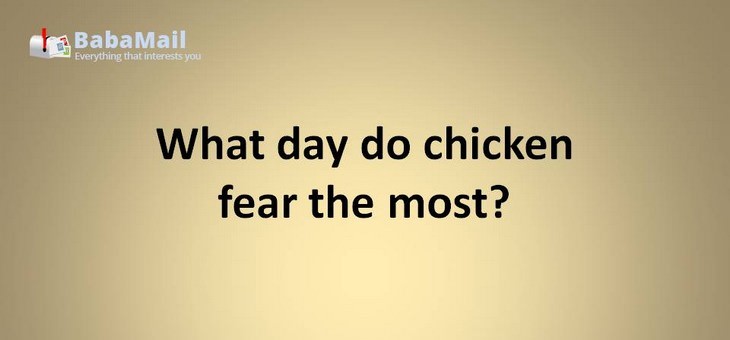 Animal puns: What day do chicken fear the most? fry-days
