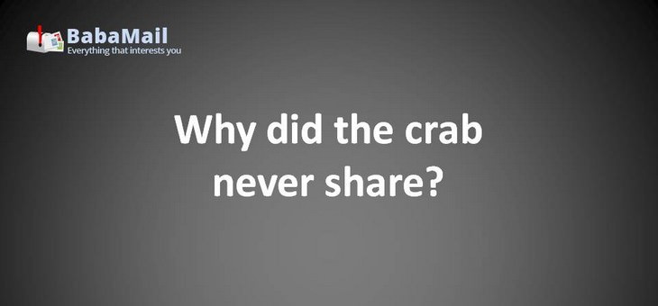 Animal puns: Why did the crab never share? Because it's shellfish!