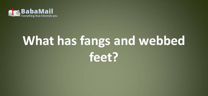 Animal puns: What has fangs and webbed feet? Count Duckula
