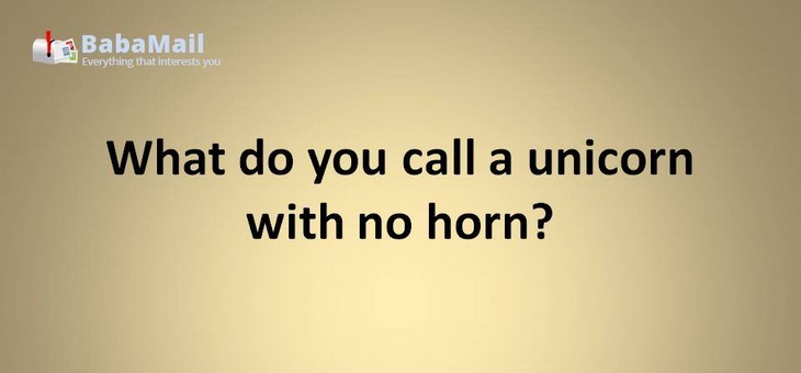 Animal puns: What do you call a unicorn with no horn? a horse