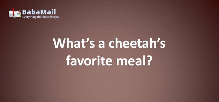 Animal puns: What's a cheetah's favorite meal? fast food!