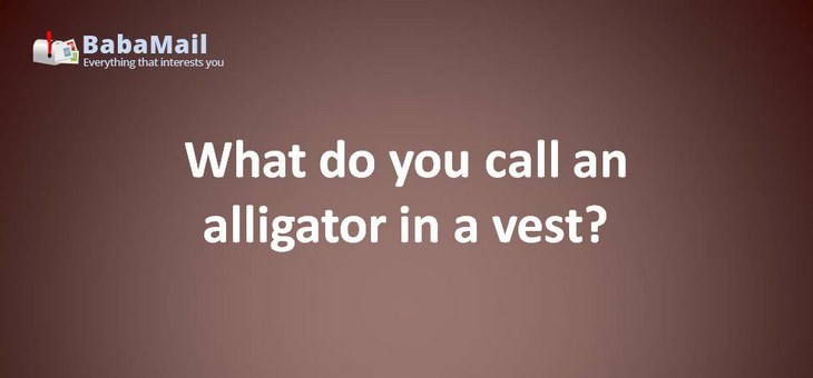 Animal puns: What do you call an alligator in a vest? Investigator