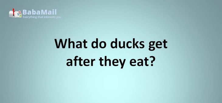 Animal puns: What do ducks get after they eat? The bill