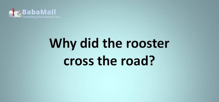 Animal puns: Why did the rooster cross the road? because he wasn't chicken