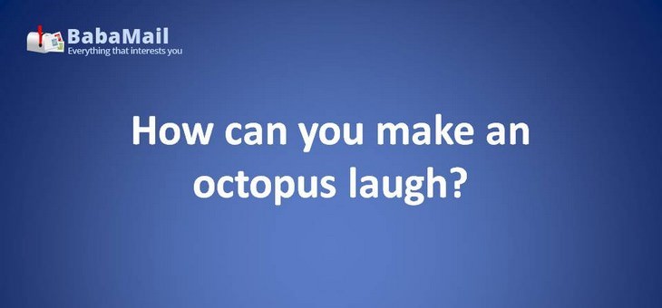 Animal puns: How can you make an octopus laugh? You give it a ten-tickles!