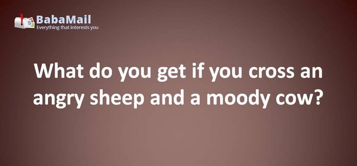 Animal puns: What do you get if you cross an angry sheep and a moody cow? An animal that's in a baaad moood! 