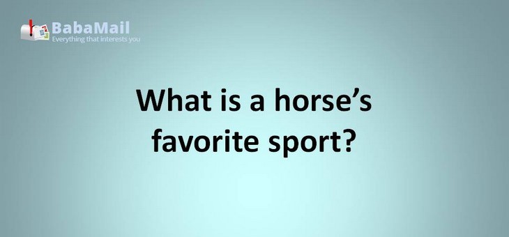 Animal puns: What is a horse's favorite sport? Stable tennis