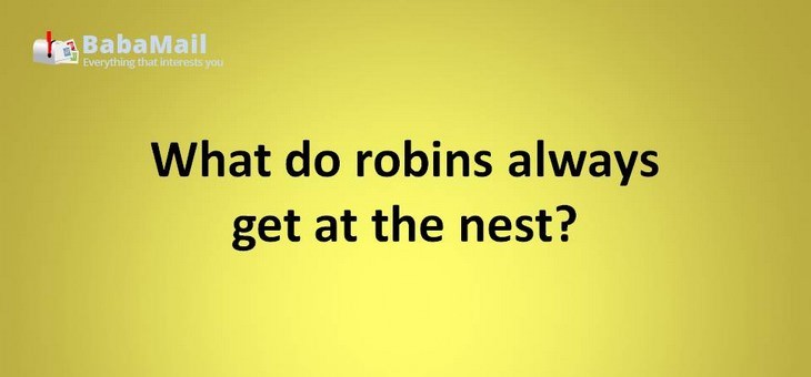 Animal puns: What do robins always get at the nest? A worm welcome!