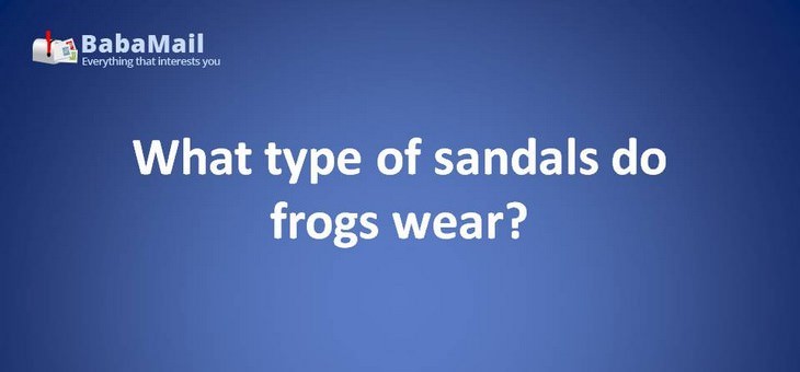 Animal puns: What type of sandals do frogs wear? Open-toad.
