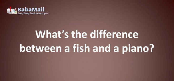 Animal puns: What's the difference between a fish and a piano? You can't tuna fish!