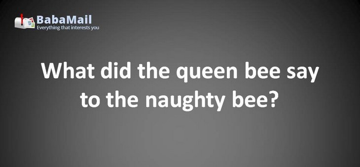 Animal puns: What did the queen bee say to the naughty bee? Beehive yourself!