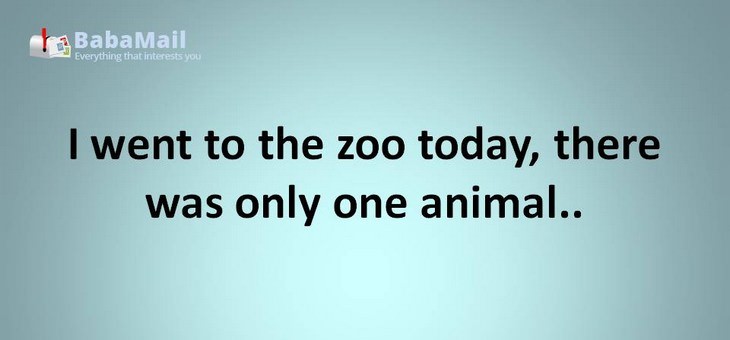 Animal puns: I went to the zoo today, there was only one animal.. it was a shit-zu!