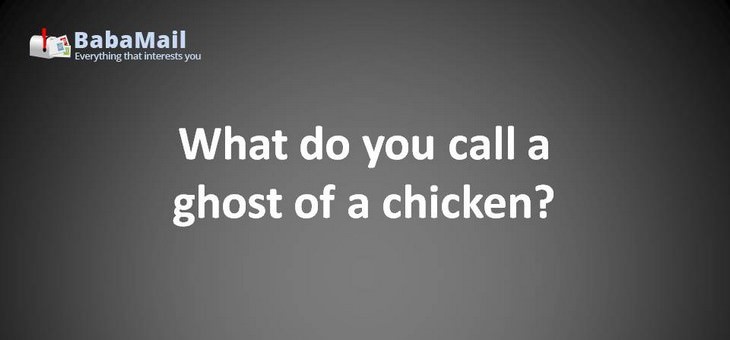Animal puns: What do you call a ghost of a chicken? A poultry-geist