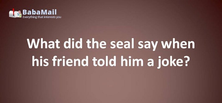 Animal puns: What did the seal say when his friend told him a joke? That's the sealiest thing i have ever heard!
