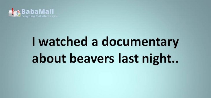 Animal puns: I watched a documentary about beavers last night.. it was the best dam show ever!
