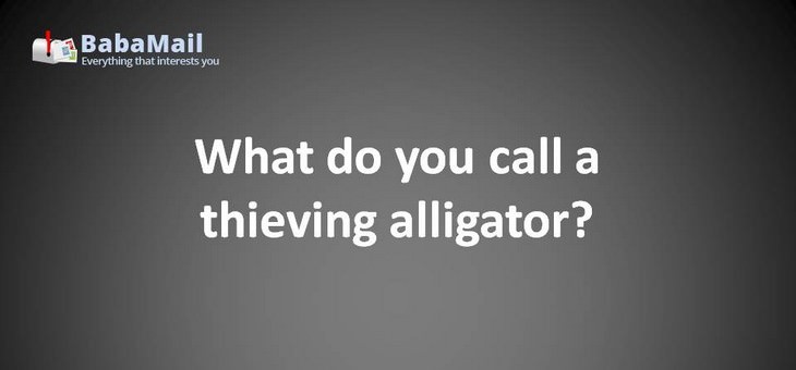 Animal puns: What do you call a thieving alligator? A crookodile!