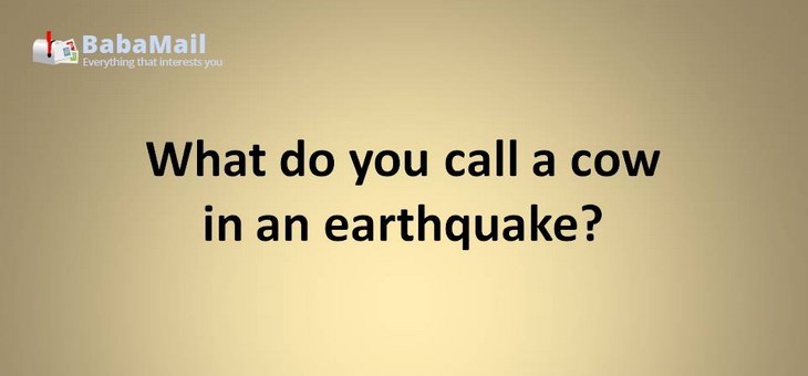 Animal puns: what do you call  a cow in an earthquake? A milkshake