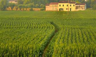 house in a field