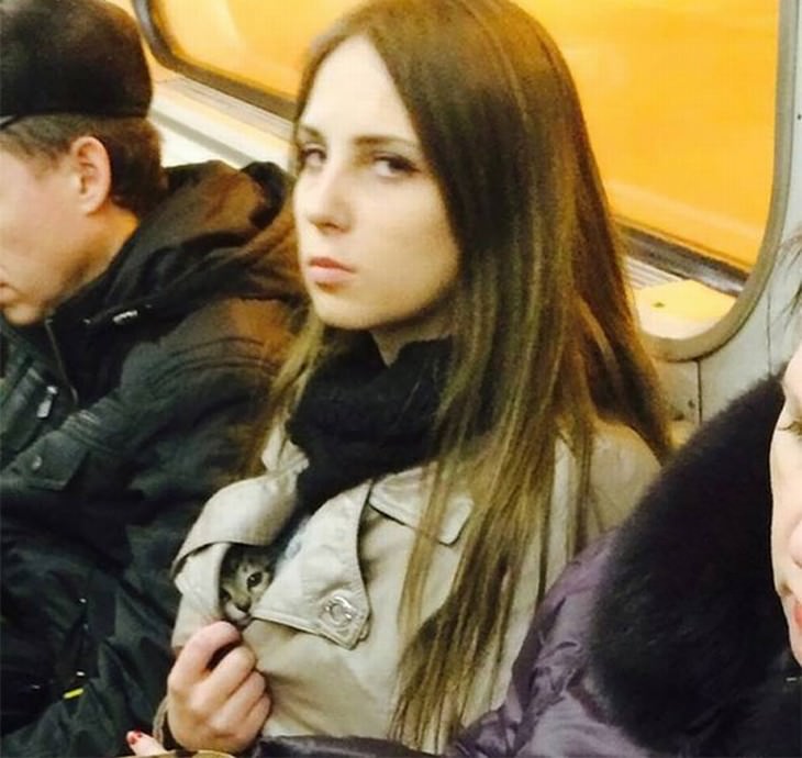 strange subway encounters kitten coat