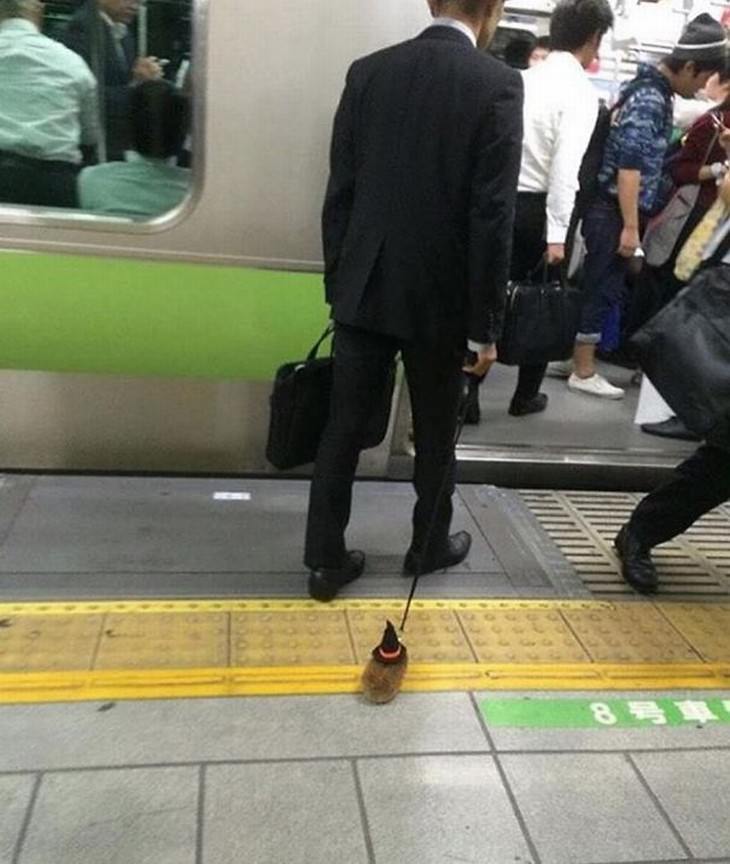 strange subway encounters hamster