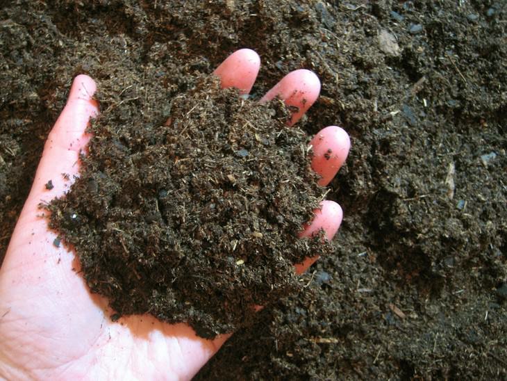 the World’s Strangest Addictions handful of dirt