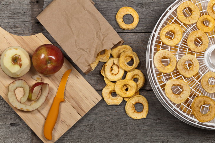 Dehydrated Foods Guide and Recipes dried apples