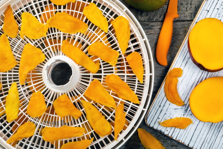 Dehydrated Foods Guide and Recipes mango chips