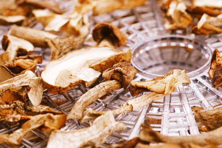 Dehydrated Foods Guide and Recipes mushroom jerky