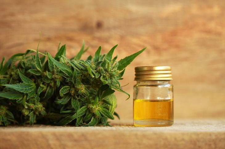 CBD oil health benefits cbd oil in a dropper