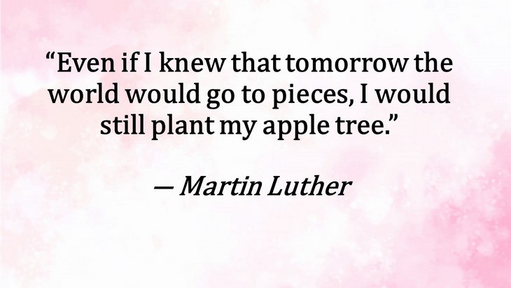 11. Even if I knew that tomorrow the world would go to pieces, I would still plant my apple tree.”