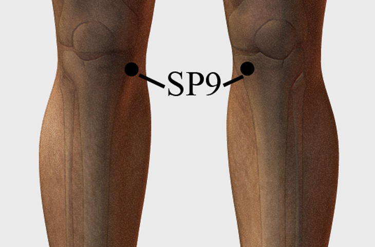 To Treat Kidney Failure SP9