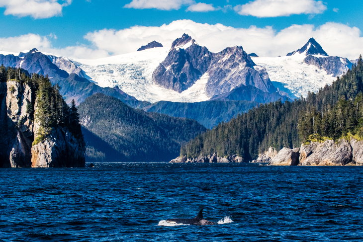 National Parks You Can Visit Online Free Kenai Fjords