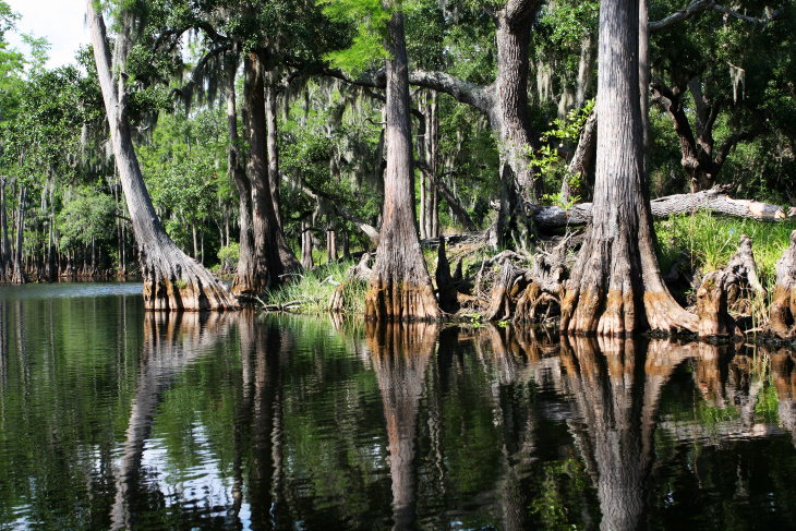 National Parks You Can Visit Online Free Everglades National Park
