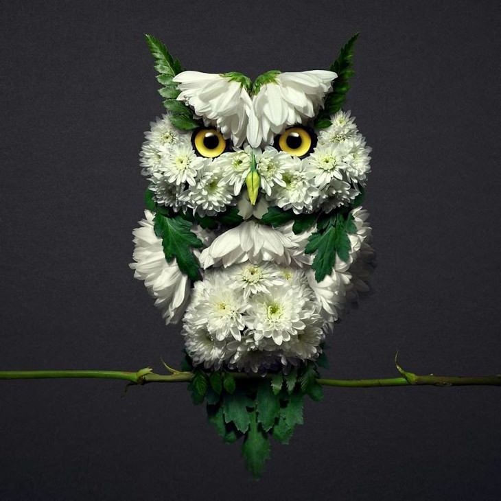 These Serene Animal Portraits are Entirely Natural