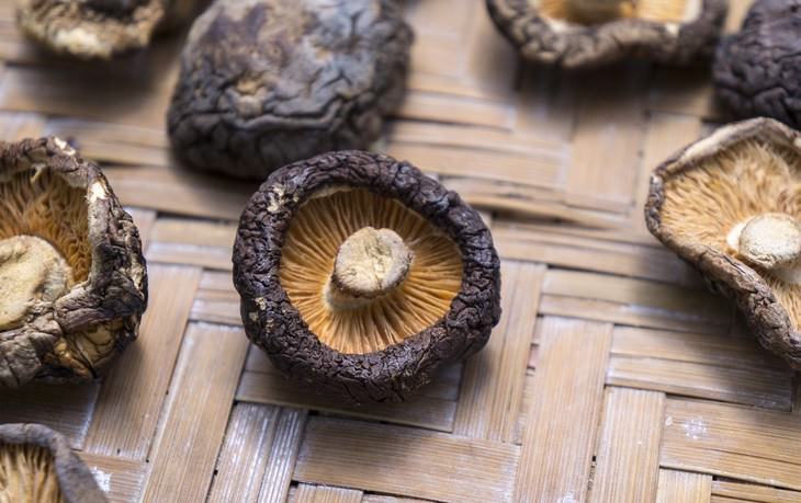 herbal medicines with science backing shiitake