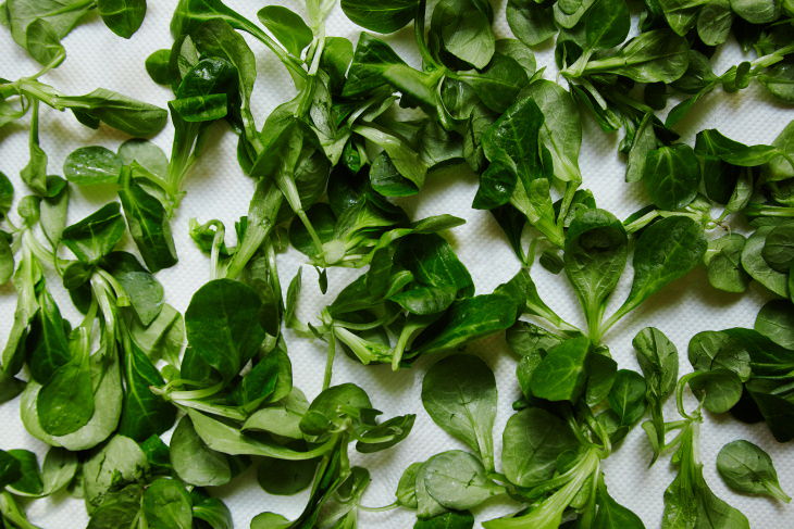 anti aging foods watercress