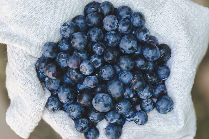 anti aging foods blueberries