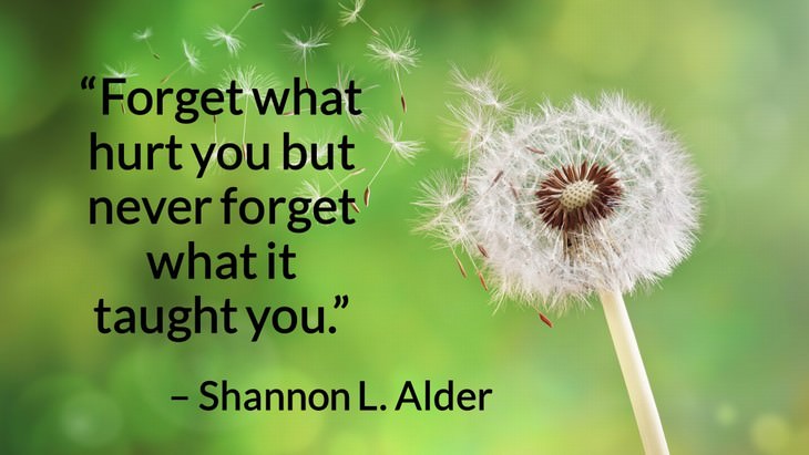 Quotes on the Importance of Moving On in Life “Forget what hurt you but never forget what it taught you.” – Shannon L. Alder