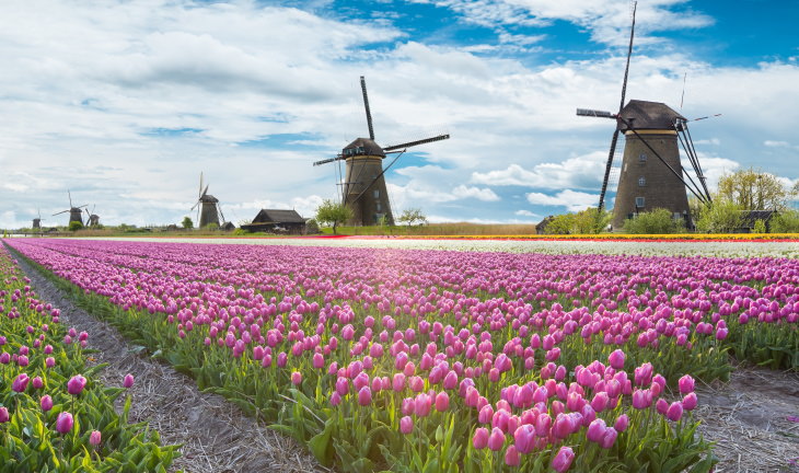 spring photos holland
