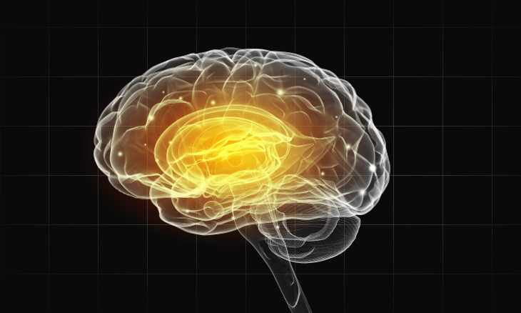 Machine Language Learning brain transparent