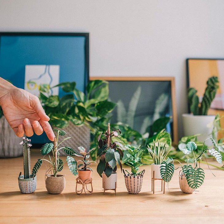 Tiny Paper Houseplants , plants, garden , miniature 