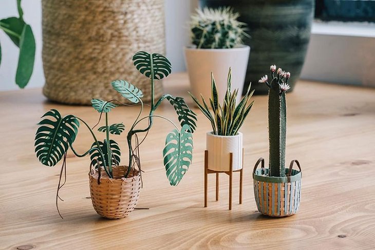 Tiny Paper Houseplants , photo, plants