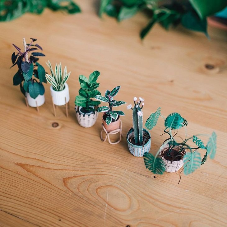 Tiny Paper Houseplants , pots and plants