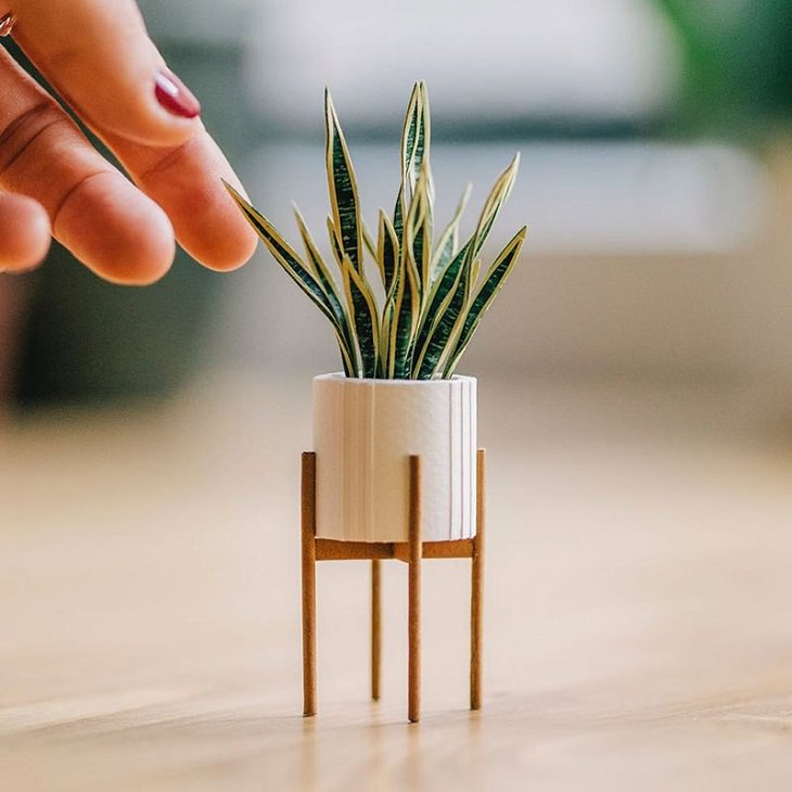 Tiny Paper Houseplants 