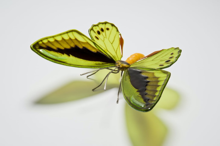 Laura Hart Glass Butterfly Sculptures Cairns Birdwing