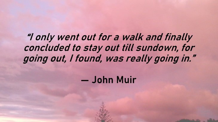 2. “I only went out for a walk and finally concluded to stay out till sundown, for going out, I found, was really going in.”