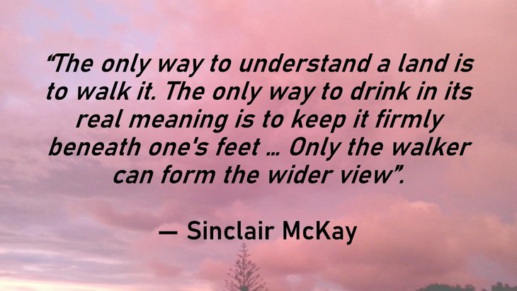 11. “The only way to understand a land is to walk it. The only way to drink in its real meaning is to keep it firmly beneath one's feet … Only the walker can form the wider view.”