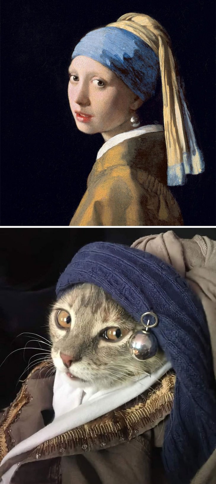 5. Girl with a Pearl Earring by Johannes Vermeer
