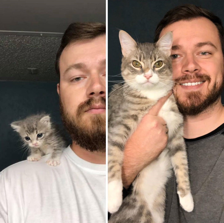 Photos of Kittens Before & After Adoption