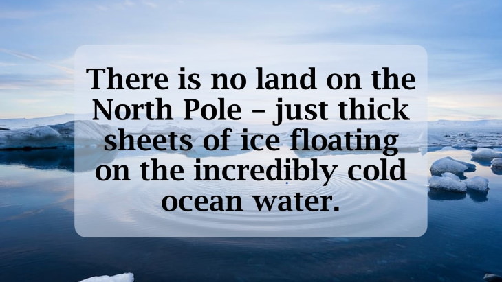 12 Fascinating Facts About the North Pole There is no land on the North Pole – just thick sheets of ice floating on the incredibly cold ocean water.